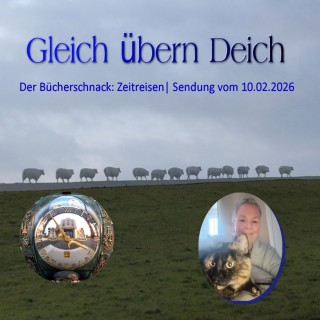 Der Bücherschnack: Zeitreisen