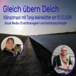 Von Reisen und Katzen